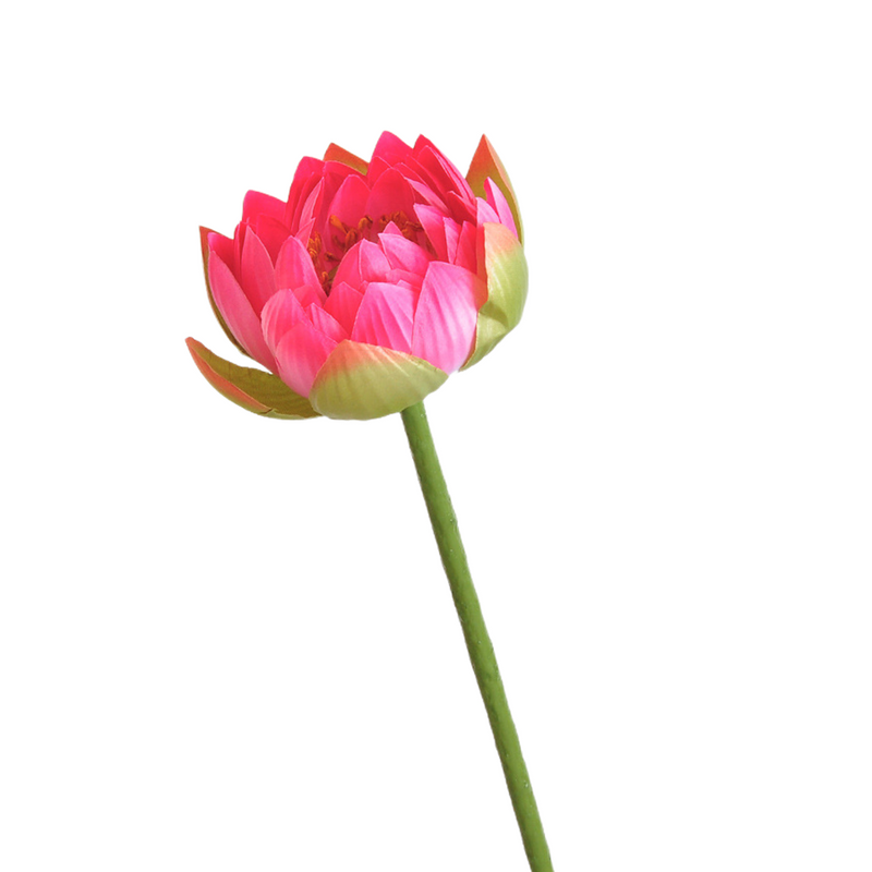 Flores de lirio de loto a granel, tallos de hojas, vaina de semillas, tacto Real, venta al por mayor Artificial 