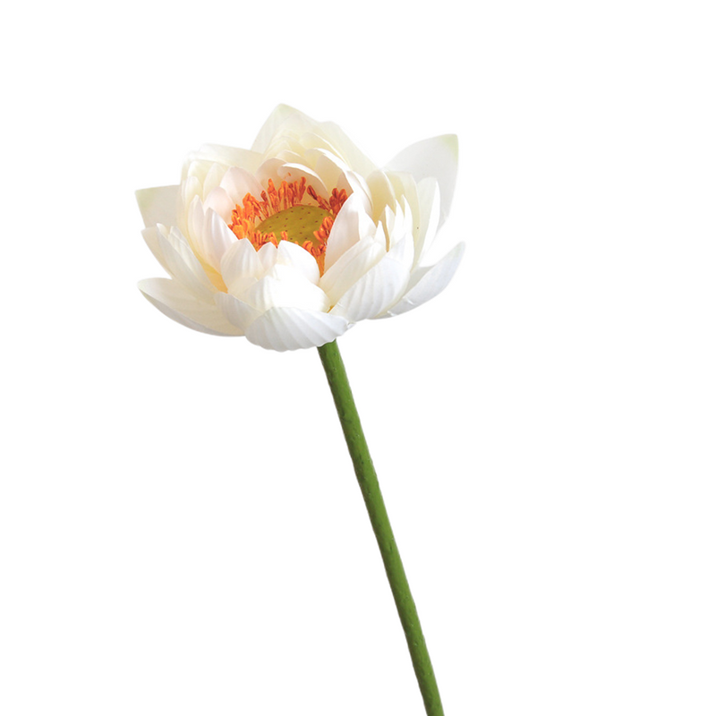 Flores de lirio de loto a granel, tallos de hojas, vaina de semillas, tacto Real, venta al por mayor Artificial 