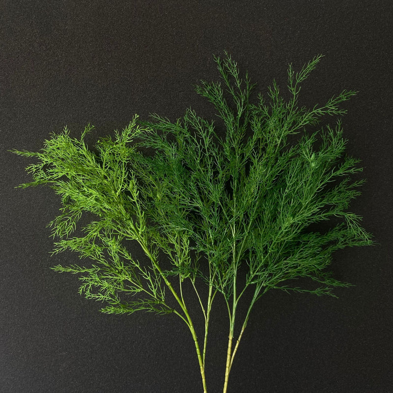 Branches d'asperges artificielles en vrac de 39 pouces de hauteur, plantes vertes en gros