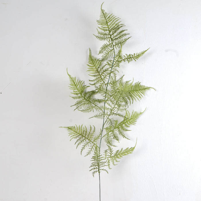 Bulk Extra Tall 48" Asparagus Fern Plants Stem Artificial Plants Wholesale