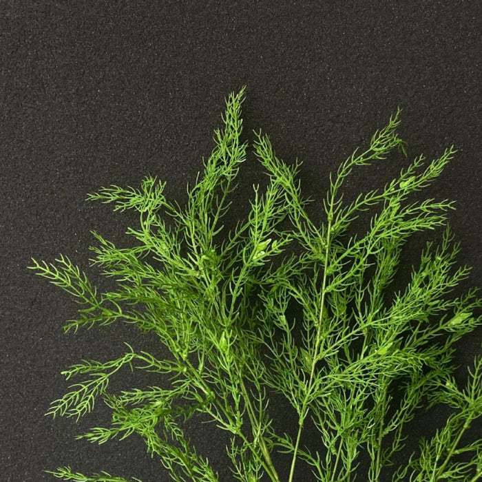 Bulk Long 39 inches Tall Asparagus Branches Artificial Greenery Plants Wholesale