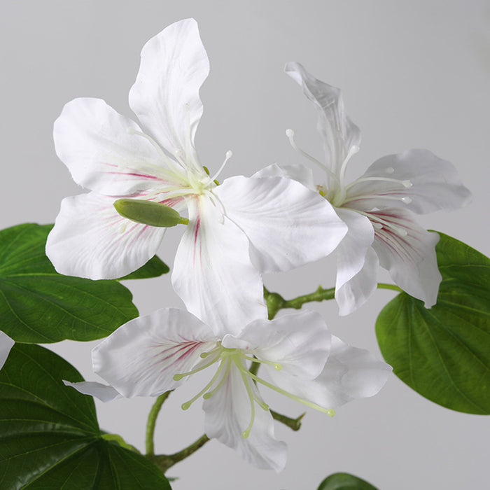 Bulk 22 inches Tall Bauhinia Stems Real Touch Bauhinia Blakeana Flowers Artificial Wholesale