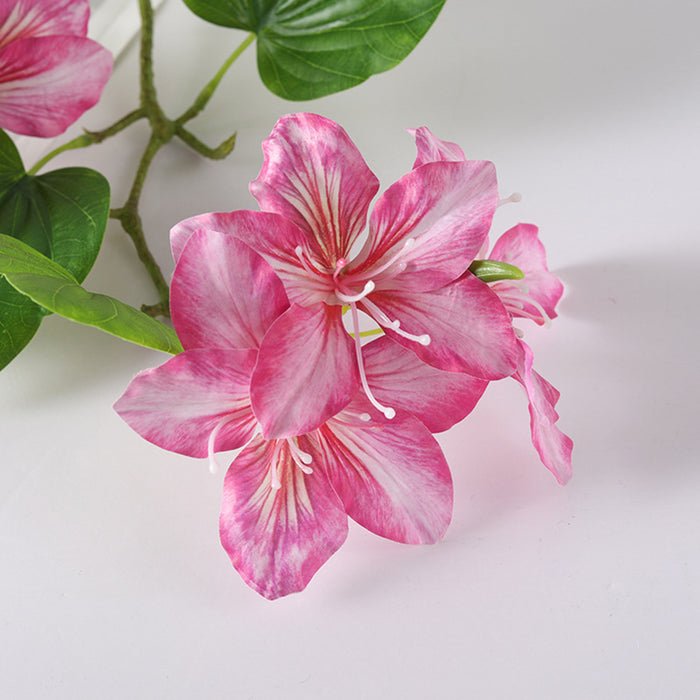 Bulk 22 inches Tall Bauhinia Stems Real Touch Bauhinia Blakeana Flowers Artificial Wholesale