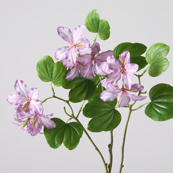 Bulk 22 inches Tall Bauhinia Stems Real Touch Bauhinia Blakeana Flowers Artificial Wholesale