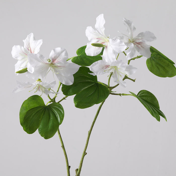 Bulk 22 inches Tall Bauhinia Stems Real Touch Bauhinia Blakeana Flowers Artificial Wholesale