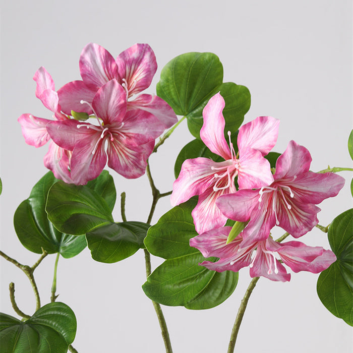 Bulk 22 inches Tall Bauhinia Stems Real Touch Bauhinia Blakeana Flowers Artificial Wholesale