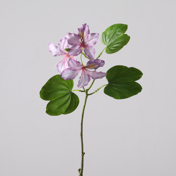 Bulk 22 inches Tall Bauhinia Stems Real Touch Bauhinia Blakeana Flowers Artificial Wholesale