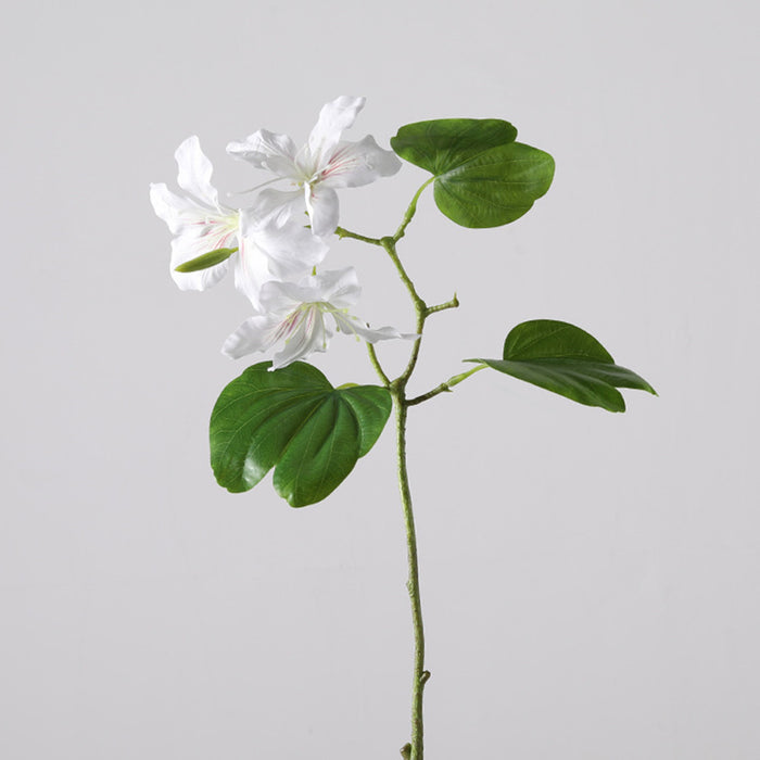 Bulk 22 inches Tall Bauhinia Stems Real Touch Bauhinia Blakeana Flowers Artificial Wholesale