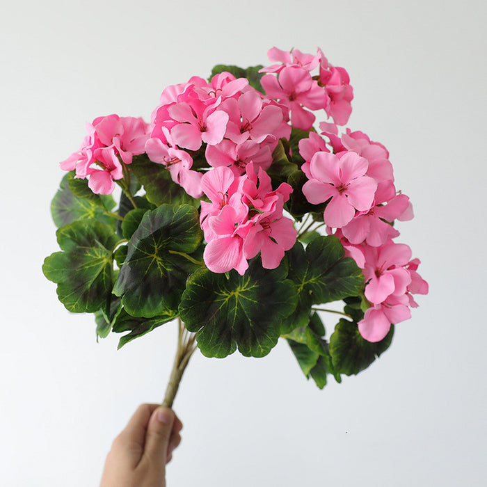 Bulk 16.5 inches Tall Geranium Bush Shrubs UV Resistant Flowers for Outdoors and Indoors Wholesale