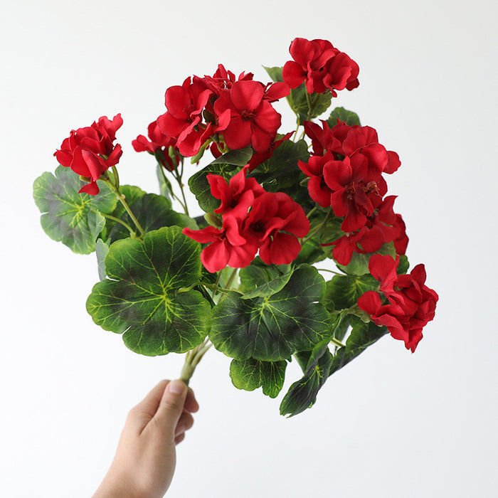 Bulk 16.5 inches Tall Geranium Bush Shrubs UV Resistant Flowers for Outdoors and Indoors Wholesale