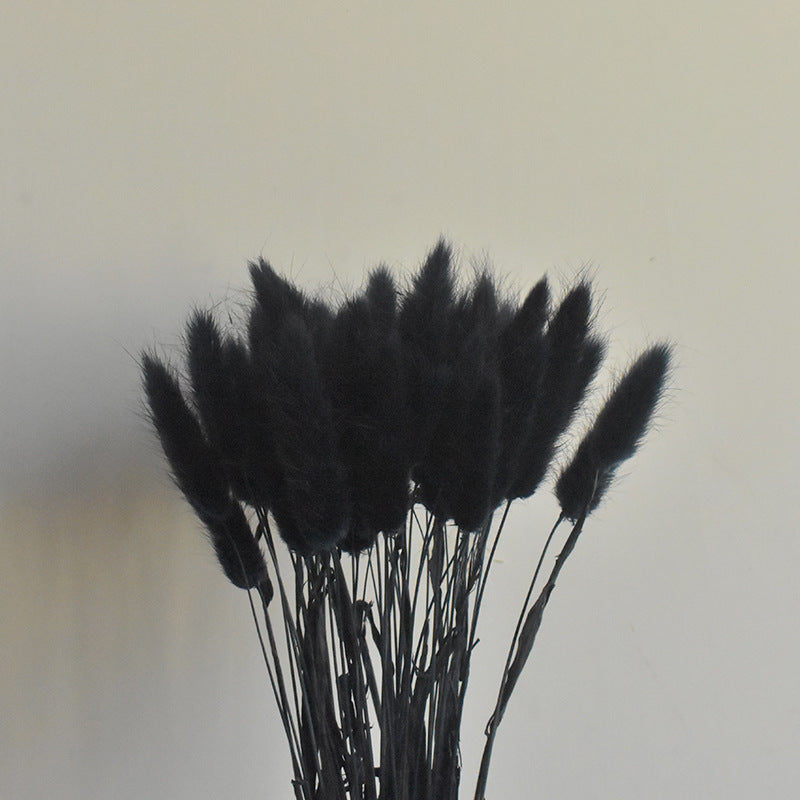 Lot de 50 queues de lapin naturelles séchées pour compositions florales, centres de table de mariage, décorations d'automne pour la maison, style bohème, baby shower, vente en gros