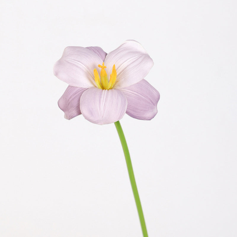 Bulk 17 inches Tall Blooming Tulip Stems Real Touch Spring Flowers Wholesale