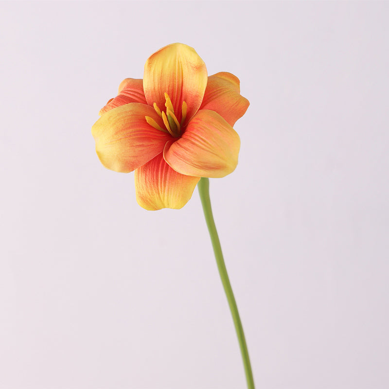 Bulk 17 inches Tall Blooming Tulip Stems Real Touch Spring Flowers Wholesale