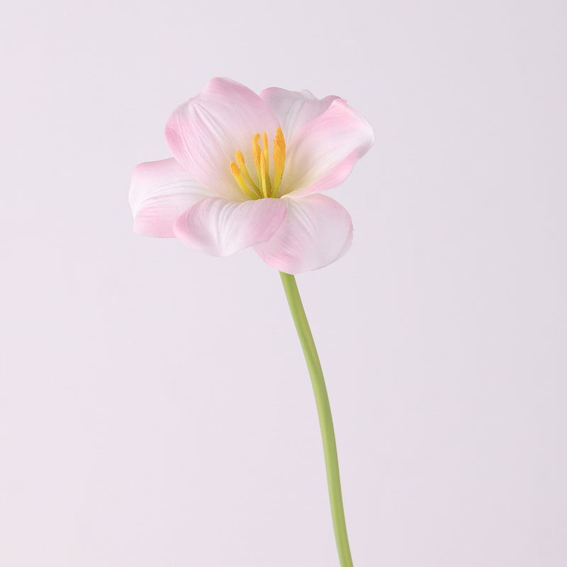 Bulk 17 inches Tall Blooming Tulip Stems Real Touch Spring Flowers Wholesale