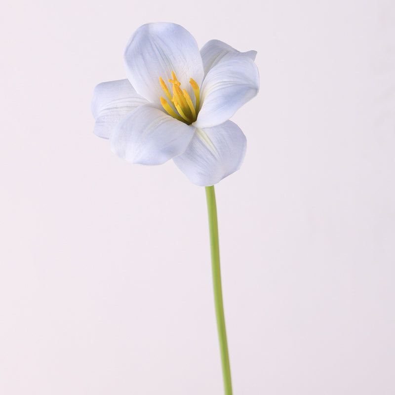 Bulk 17 inches Tall Blooming Tulip Stems Real Touch Spring Flowers Wholesale