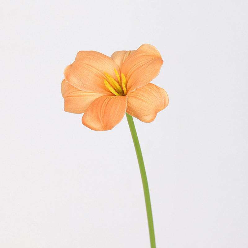 Bulk 17 inches Tall Blooming Tulip Stems Real Touch Spring Flowers Wholesale