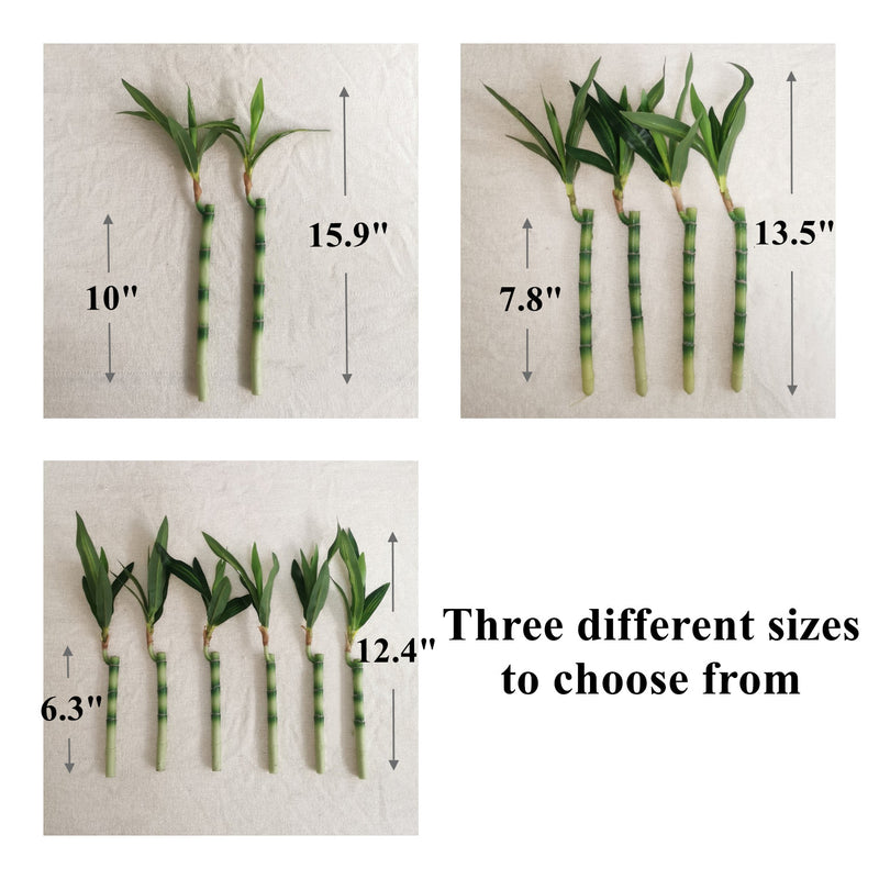 Bulk Artificial Botanicals Bamboo Stems Lucky Bamboo Plant Drop-In Plant Wholesale