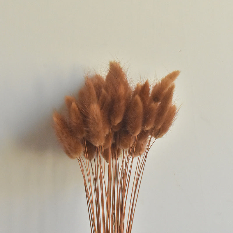 Lot de 50 queues de lapin naturelles séchées pour compositions florales, centres de table de mariage, décorations d'automne pour la maison, style bohème, baby shower, vente en gros