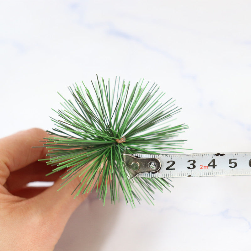 Tallo de plantas de helecho espárrago 34 pulgadas