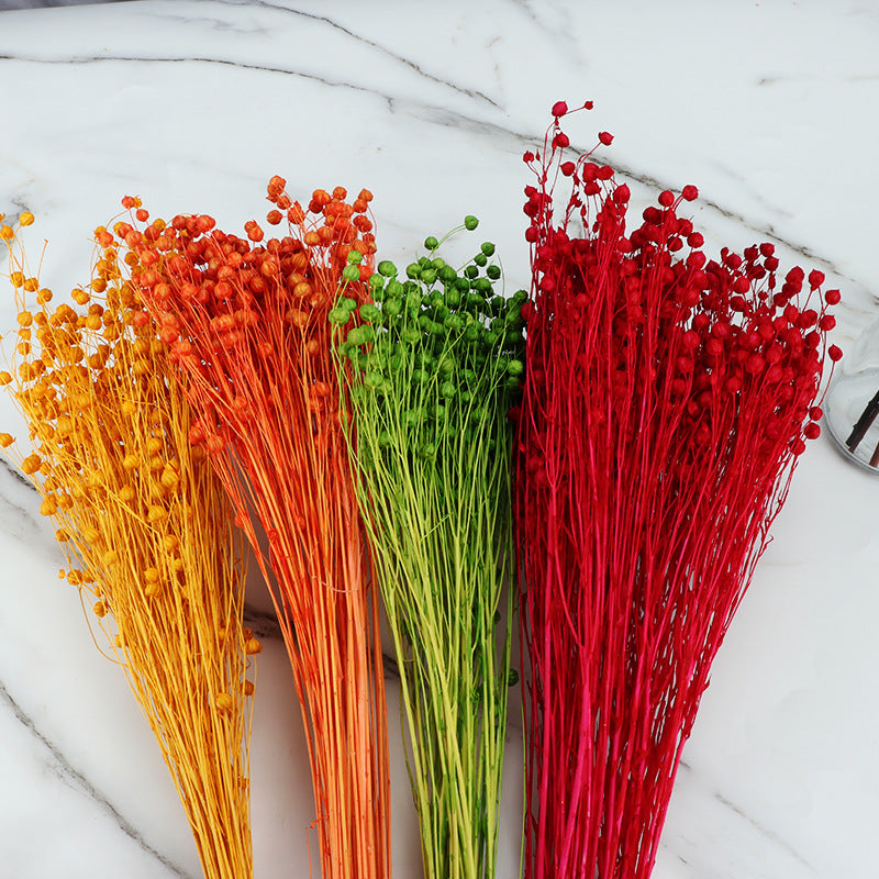 Bulk 20Pcs Dried Bean Fruits Flowers Bouquet for Crafts DIY Halloween Centerpiece Wholesale