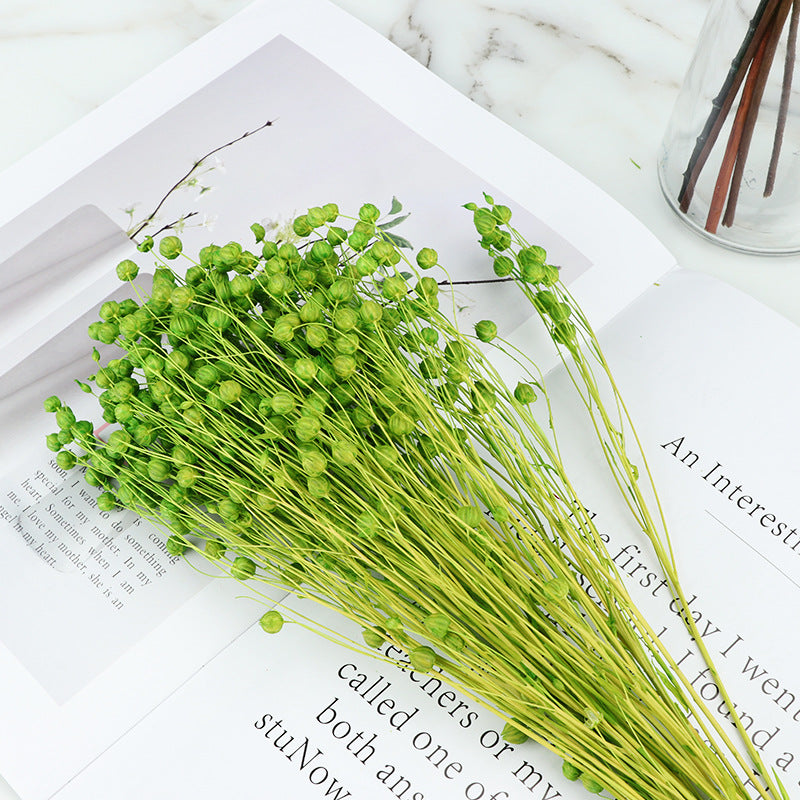 Bulk 20Pcs Dried Bean Fruits Flowers Bouquet for Crafts DIY Halloween Centerpiece Wholesale