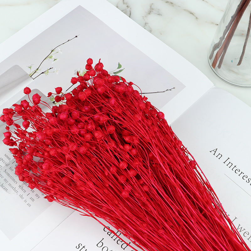 Bulk 20Pcs Dried Bean Fruits Flowers Bouquet for Crafts DIY Halloween Centerpiece Wholesale