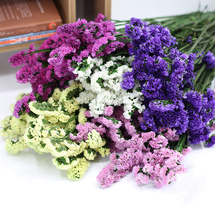 Bulk Forget Me Not Dried Flowers for Crafts DIY Wholesale — Artificialmerch