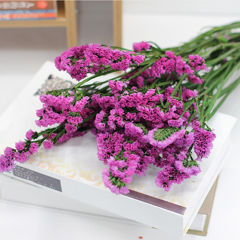 Fleurs séchées Forget Me Not en vrac pour l'artisanat DIY en gros 