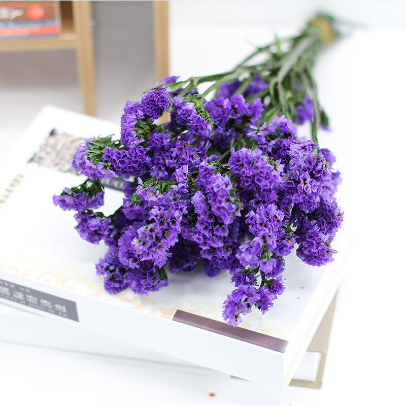 Fleurs séchées Forget Me Not en vrac pour l'artisanat DIY en gros 