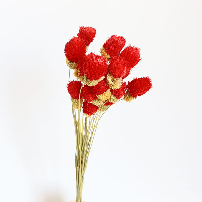 Bulk 15 Pcs 15" Dried Ball Fruits Gomphrena Globosa Stems Dried Fall Flowers Halloween Centerpiece Wholesale