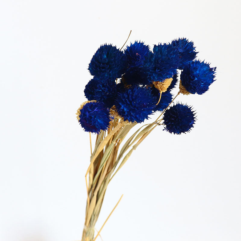 Bulk 15 Pcs 15" Dried Ball Fruits Gomphrena Globosa Stems Dried Fall Flowers Halloween Centerpiece Wholesale