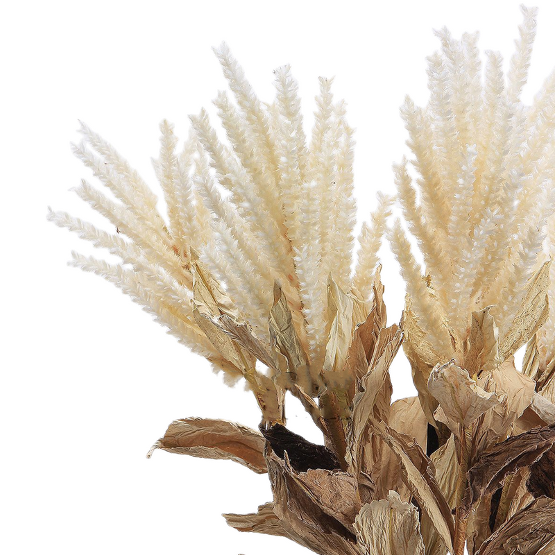 Bulk Wabi-Sabi Pampas Stems Real Touch Artificial Plants Wholesale