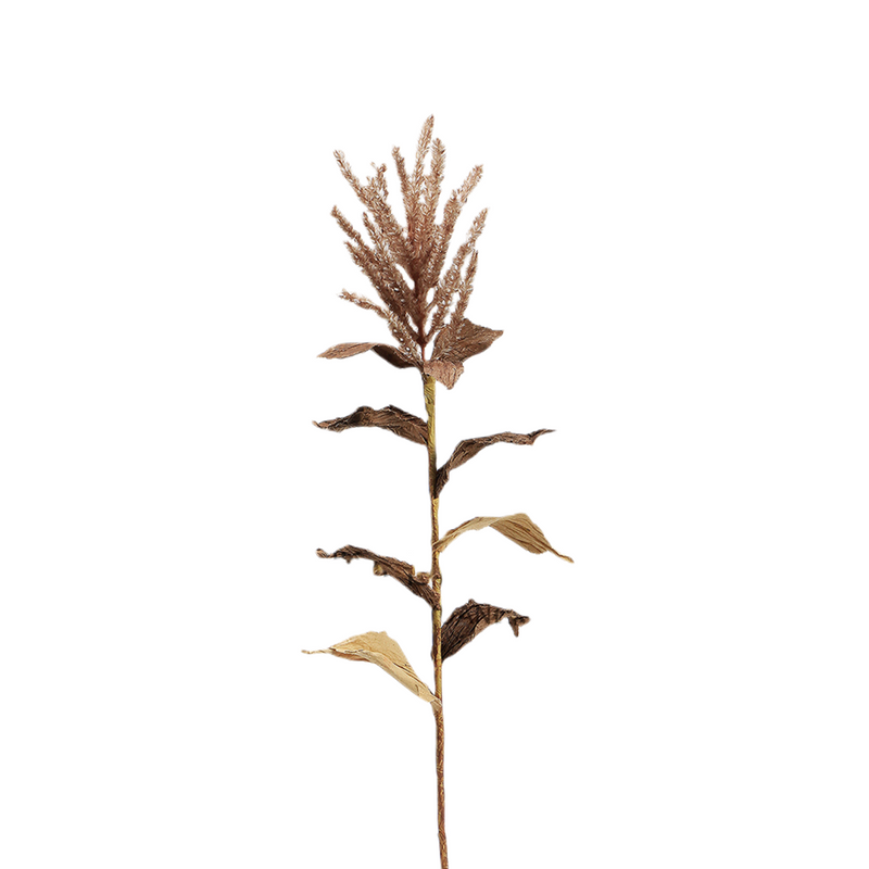 Bulk Wabi-Sabi Pampas Stems Real Touch Artificial Plants Wholesale