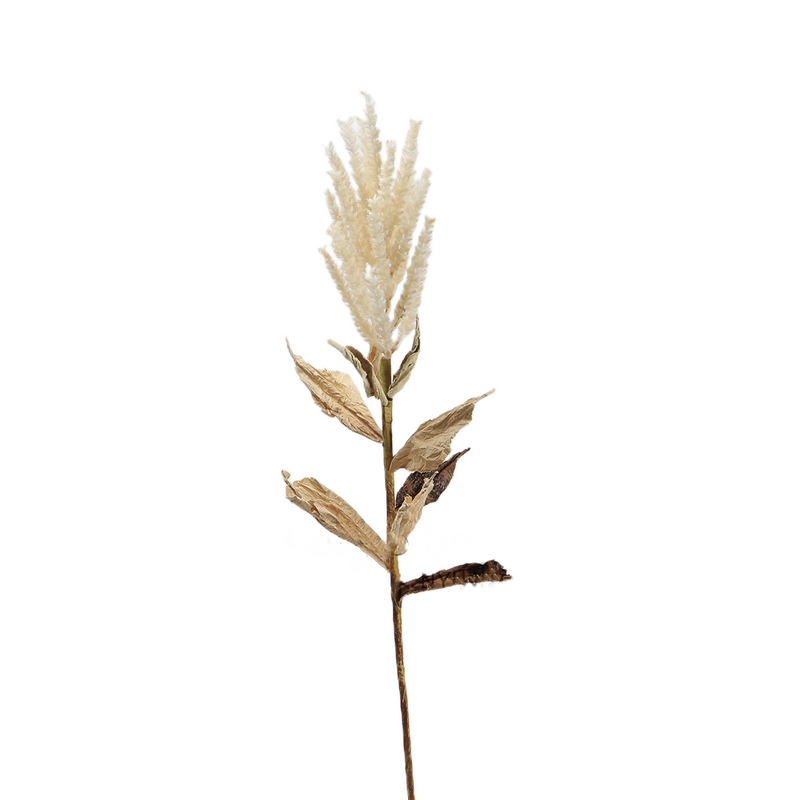 Bulk Wabi-Sabi Pampas Stems Real Touch Artificial Plants Wholesale
