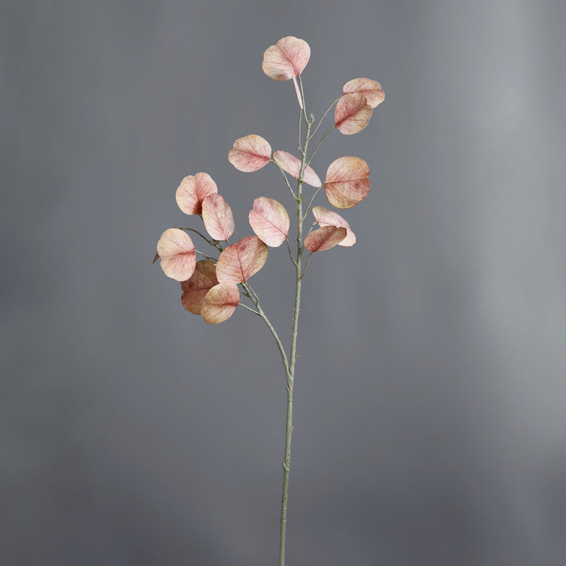 Bulk 19" Autumn/Winter Tone Eucalyptus Stems for Home & Wedding Decor