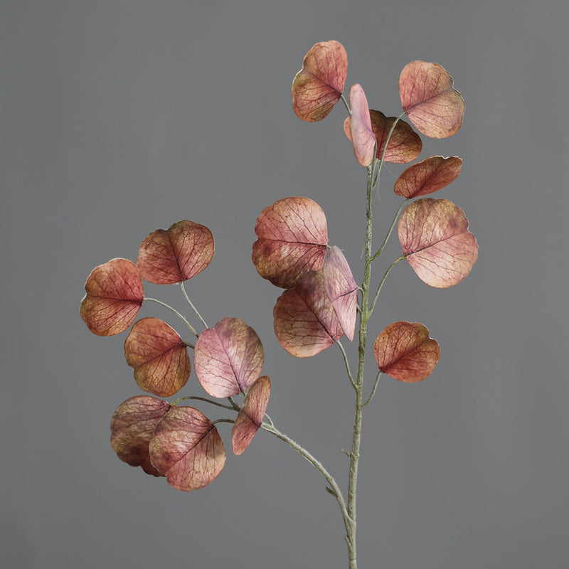 Bulk 19" Autumn/Winter Tone Eucalyptus Stems for Home & Wedding Decor