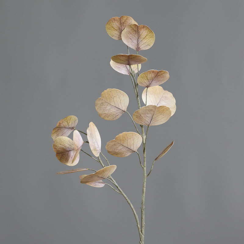 Bulk 19" Autumn/Winter Tone Eucalyptus Stems for Home & Wedding Decor