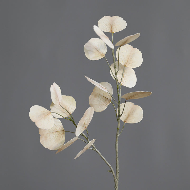 Bulk 19" Autumn/Winter Tone Eucalyptus Stems for Home & Wedding Decor