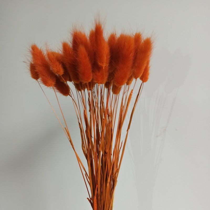 Lot de 50 queues de lapin naturelles séchées pour compositions florales, centres de table de mariage, décorations d'automne pour la maison, style bohème, baby shower, vente en gros