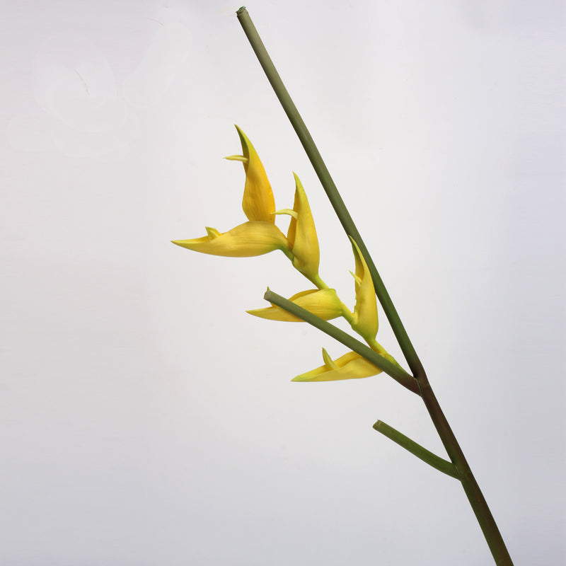 Tiges de lys Canna en vrac de 20 pouces, fleurs au toucher réel, vente en gros 