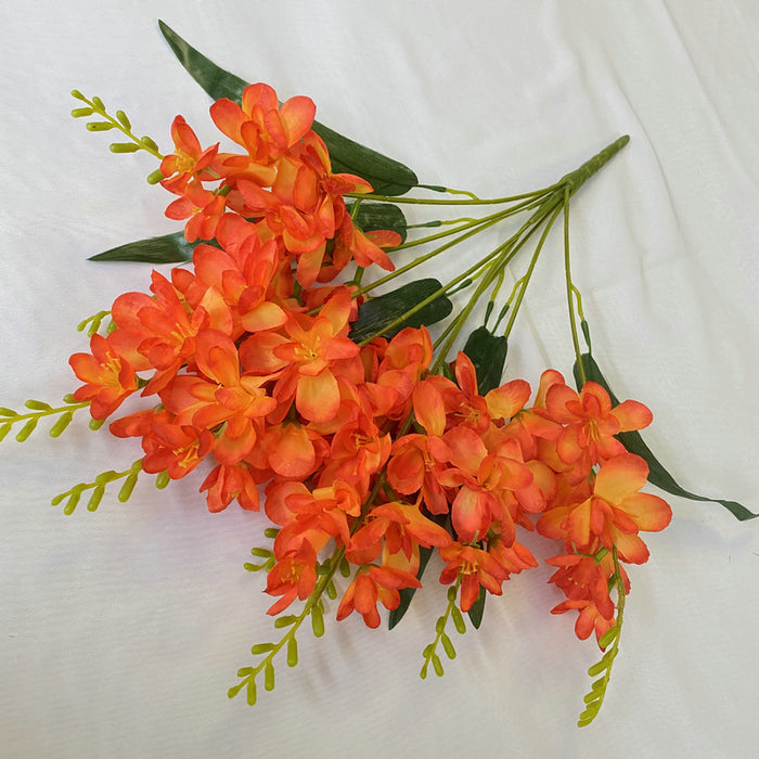 Bulk Cataleya Orchid Bush UV Resistant Flowers for Outdoors Wholesale