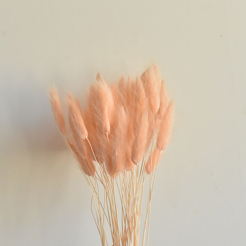 Lot de 50 queues de lapin naturelles séchées pour compositions florales, centres de table de mariage, décorations d'automne pour la maison, style bohème, baby shower, vente en gros