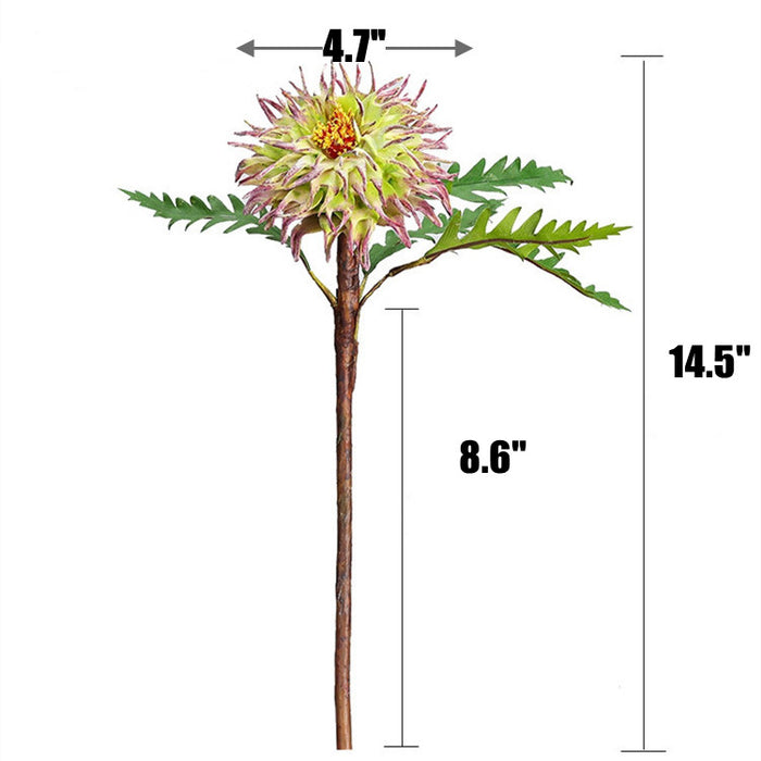 Bulk 14.5" Cirsii Herba Stems for Wedding Home Decor Wholesale