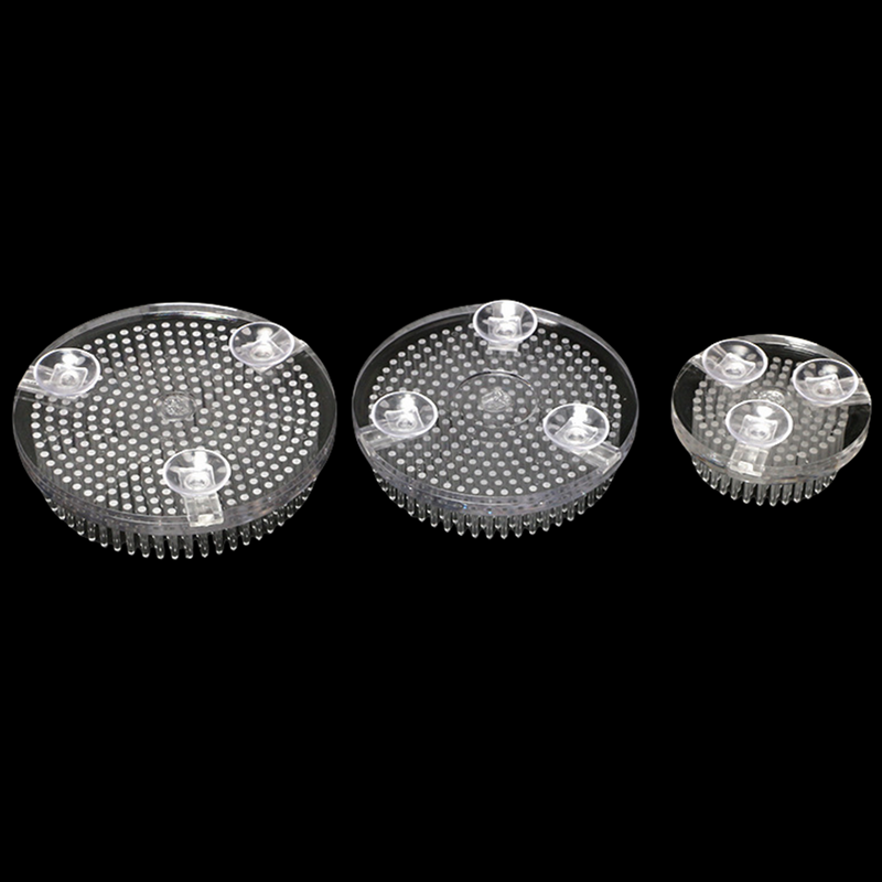 Bulk Clear Plastic Floral Frog with Stable Suction Cups for Secure Flower Arrangements Wholesale