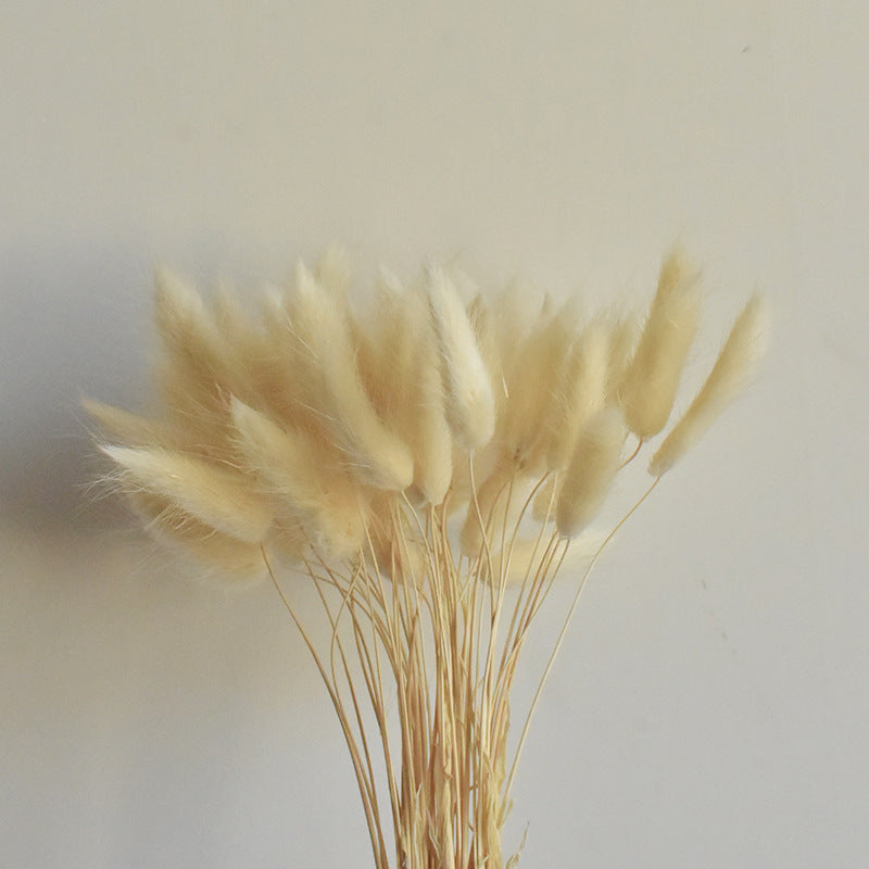 Lot de 50 queues de lapin naturelles séchées pour compositions florales, centres de table de mariage, décorations d'automne pour la maison, style bohème, baby shower, vente en gros