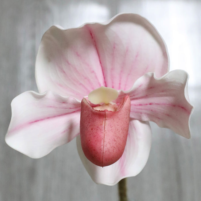 Bulk 19" Cypripedium Stems Real Touch Artificial Floral Wholesale