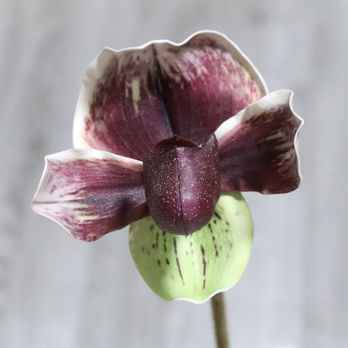 Bulk 19" Cypripedium Stems Real Touch Artificial Floral Wholesale