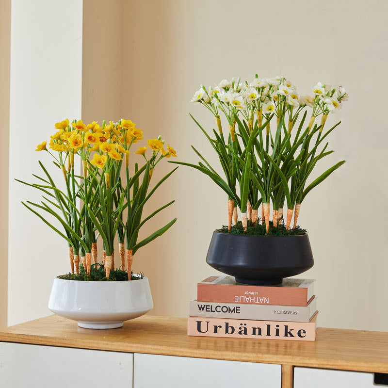 Bulk Daffodil Flowers Stems With Leaves Real Touch Flowers Narsissus Artificial Wholesale