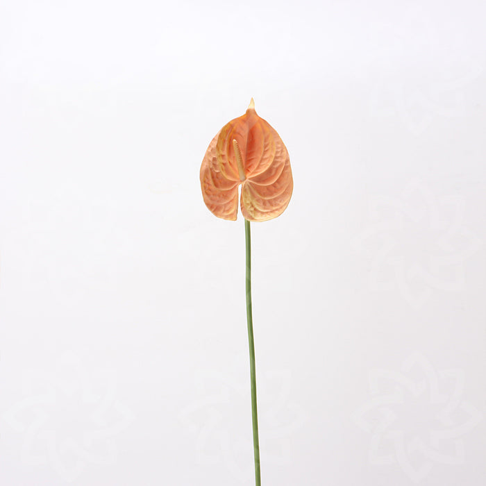 Bulk 23" Anthurium Stems Real Touch Flowers Artificial Wholesale