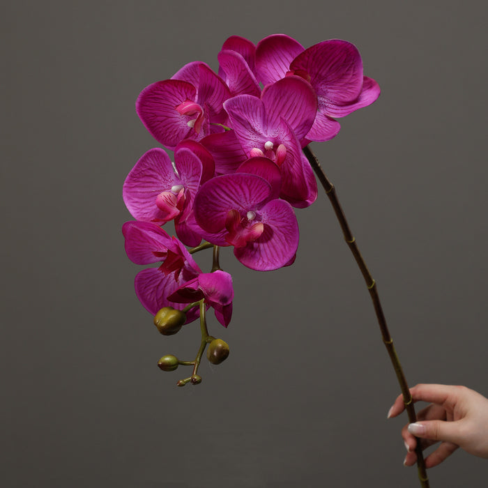 Bulk 39 inches Tall Deep Magenta Phalaenopsis Orchid Real Touch Stems  Fuchsia Orchids Wholesale